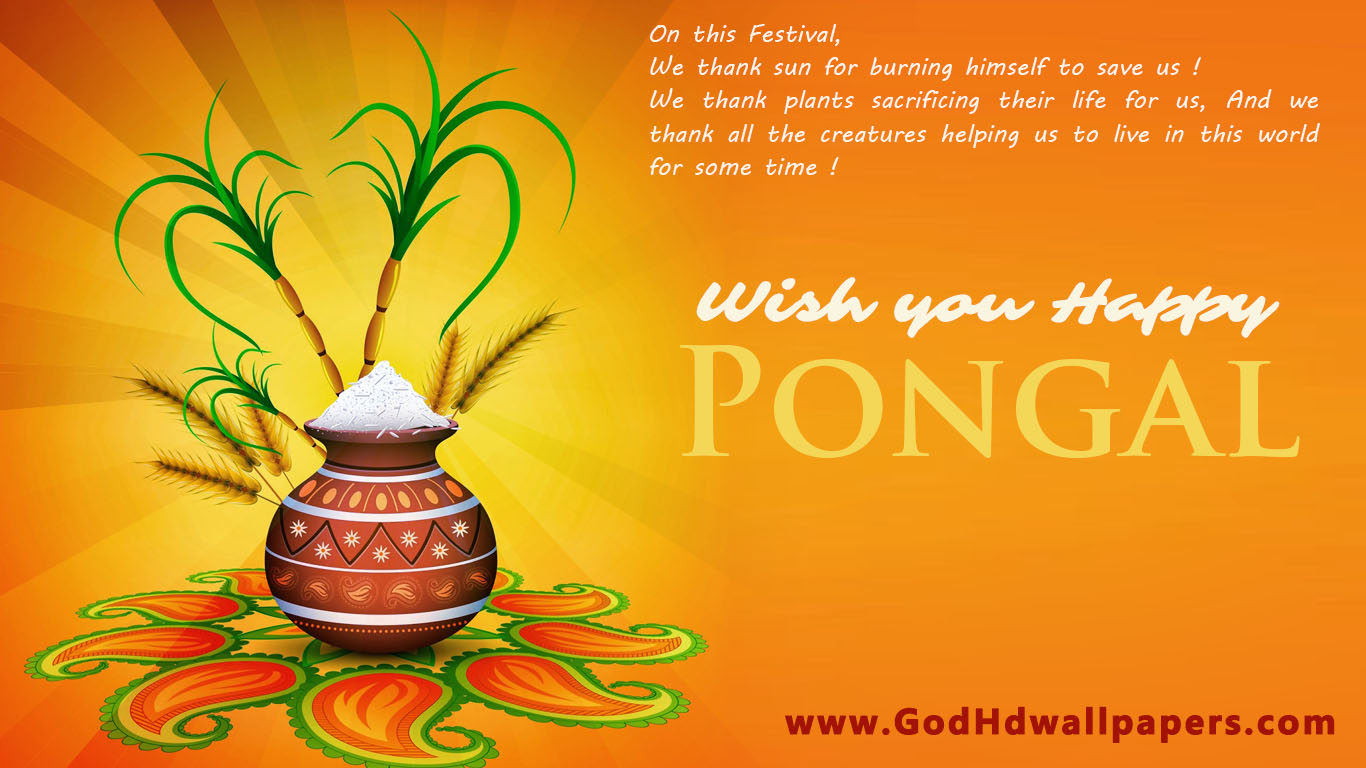 Latest Happy Pongal Wishes Hd Picture Wallpaper 1366x768 - God HD ...